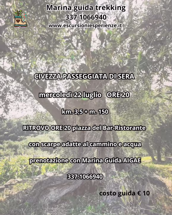 Una passeggiata negli uliveti