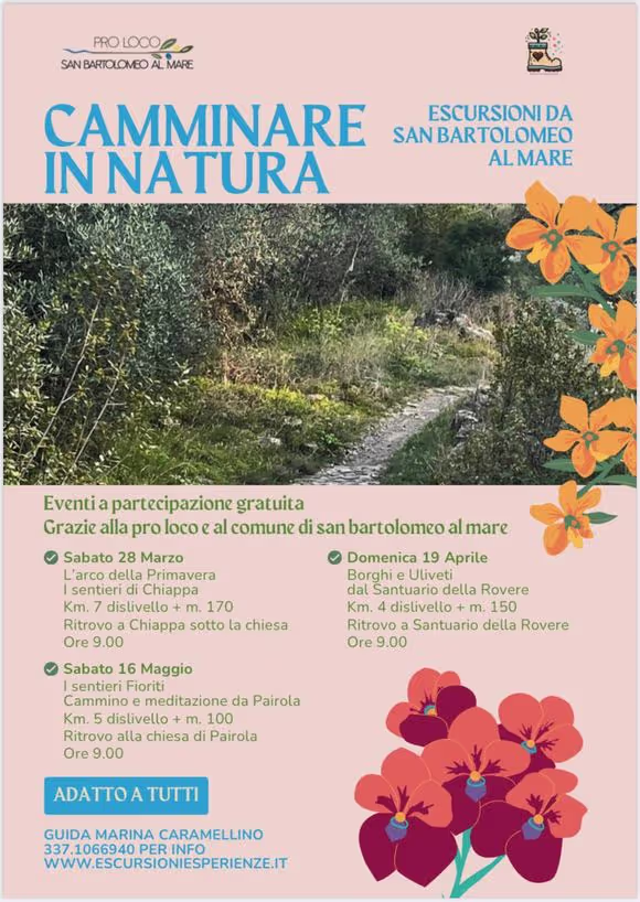 Cammino a passo lento e meditazione sotto gli alberi 