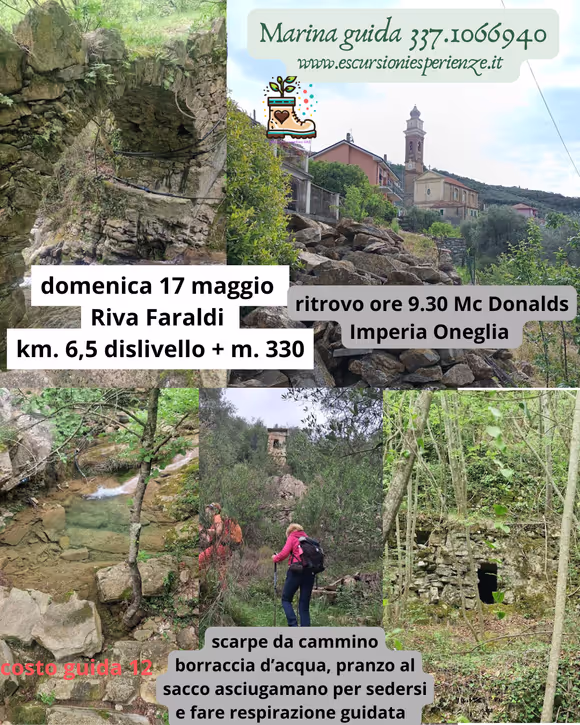 I boschi e gli uliveti della valle dei Faraldi