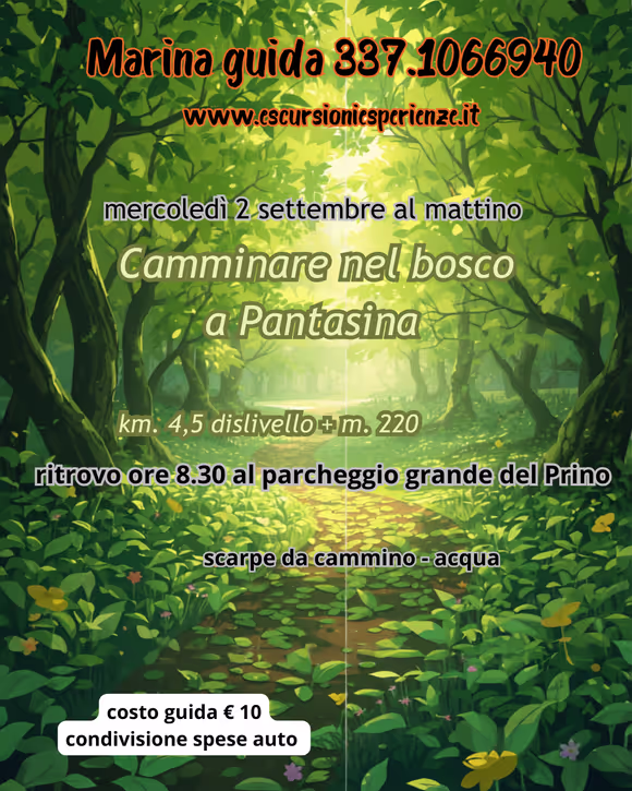 Ritrovarsi in Natura: Il Primo Cammino del Mercoledì a Pantasina