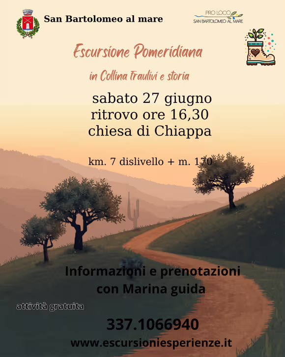 Sentieri e colline fra gli ulivi 