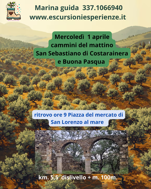 Fra gli ulivi un segreto storico