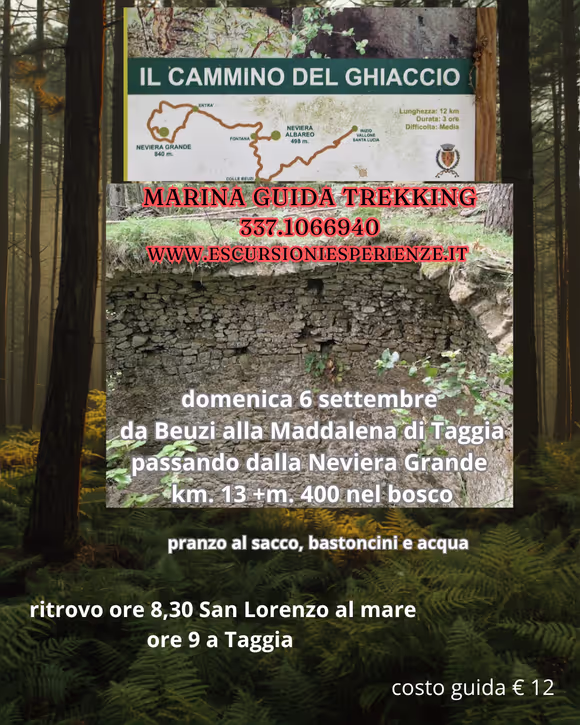 Passi di quiete: Il fascino del Bosco di Taggia e della Neviera Grande