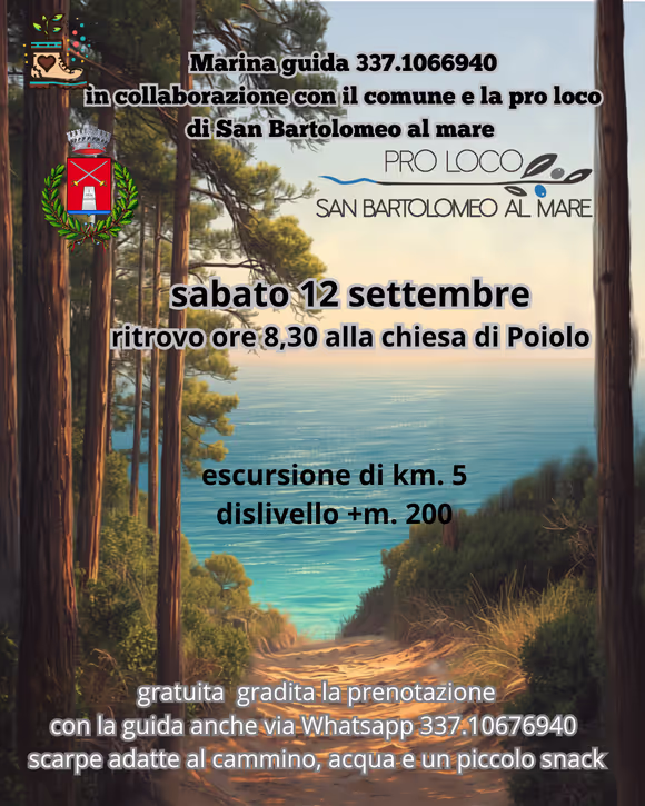 Pinete vista mare 